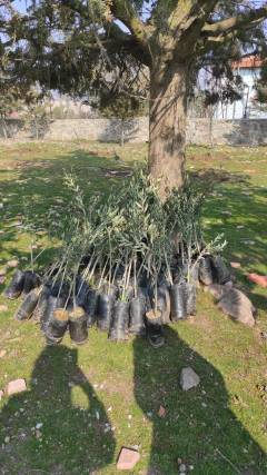 WhatsApp Image 2023-02-24 at 2.20.10 PM