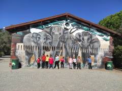 WhatsApp Image 2022-10-05 at 11.20.28