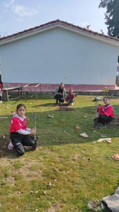 WhatsApp Image 2023-02-24 at 2.20.06 PM